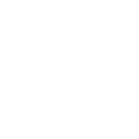 汽车电子